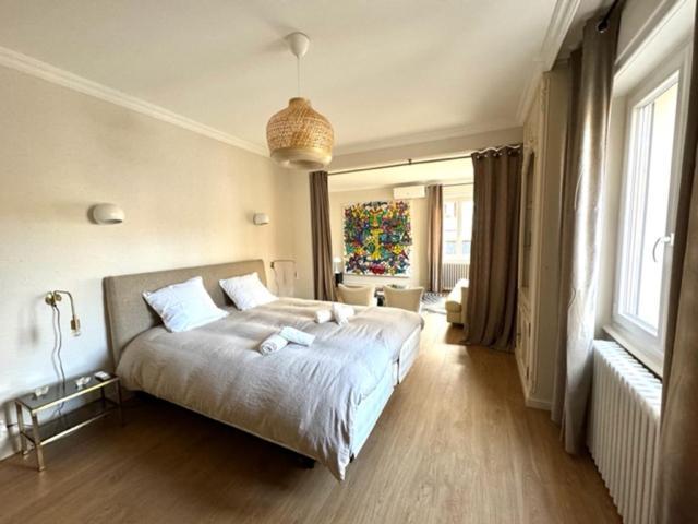 Appartement Le Rapp Colmar